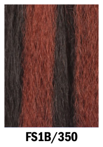 FS1B_350-210x300