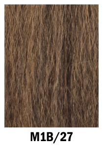 M1B_27-210x300