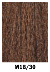 M1B_30-210x300
