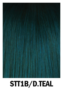 STT1B_DTEAL-210x300